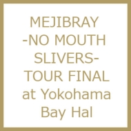 送料無料 MEJIBRAY -NO MOUTH SLIVERS- TOUR DVD FINAL 返品交換不可 Bay Hall Yokohama 全国どこでも送料無料