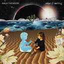Walk The Moon / What If Nothing 輸入盤 【CD】
