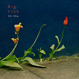 王舟 / Big fish 【CD】
