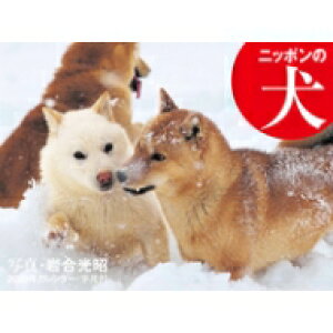 2020年カレンダー ニッポンの犬 / 岩合光昭 【本】
