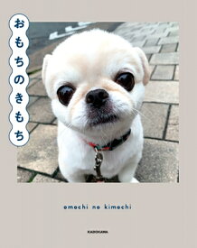 おもちのきもち 【本】