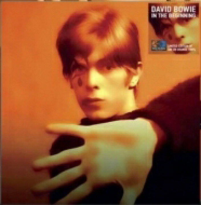 楽天市場 David Bowie デヴィッドボウイ In The Beginning オレンジヴァイナル仕様 アナログレコード Lp Hmv Books Online 1号店