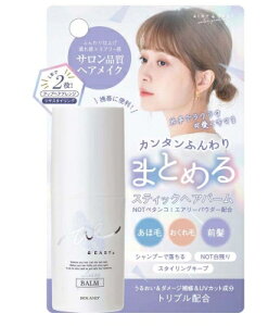 AIRY  EASYiGA[C[W[j XeBbNwAo[