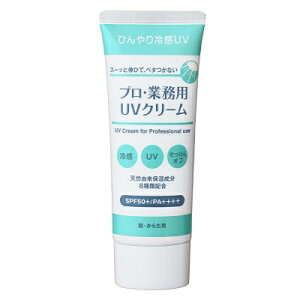 vEƖpnhN[ yʌzvEƖp UVN[