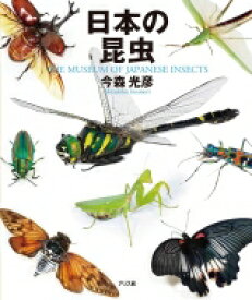 日本の昆虫 THE　MUSEUM　OF　JAPANESE　INSECTS / 今森光彦 【図鑑】