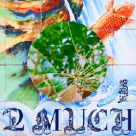 龍宮城 / 2 MUCH 【完全生産限定盤】(+付属品) 【CD】