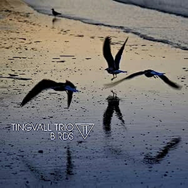 Tingvall Trio ティングバルトリオ / Birds (アナログレコード) 【LP】