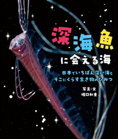 深海魚に会える海 / 堀口和重 【絵本】