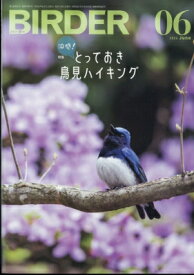 BIRDER (バーダー) 2024年 6月号 / BIRDER編集部 【雑誌】