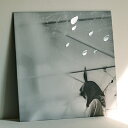 小沢健二 / 日比谷野音の小沢健二 オフィシャル海賊盤 (アナログレコード) 【LP】