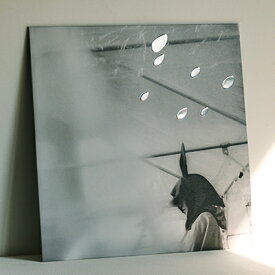 小沢健二 / 日比谷野音の小沢健二 オフィシャル海賊盤 (アナログレコード) 【LP】