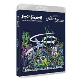 Jeff Goldblum / Night Blooms (Bluray Audio) 【BLU-RAY AUDIO】