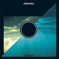 サカナクション / sakanaction (2枚組 / 重量盤レコード) 【LP】