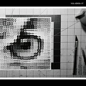 サカナクション / アダプト (2枚組重量盤レコード) 【LP】