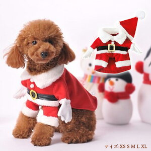  H~  p[X ^ ybgEFA i 킢 ߑ T^  RXvNX}X ` o s U ybgpi