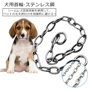  p p ybgpi XeX|  ̍ AɗD ybg P g[jO ^ pi 