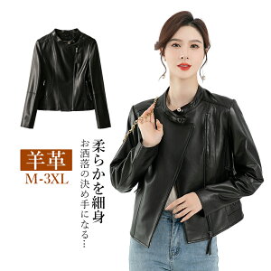 U[WPbg fB[X vW WPbg fB[XR[g  אg rv 20 30 40 50  傫TCY M L XL 2XL 3XL u]  tH ~  R[g C_[X 