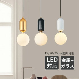 AAAZM ペンダントライト 北欧 おしゃれ LED対応 ガラス 球状 丸型 つや消し 天井照明器具 キッチン ダイニング 吹き抜け 吊下げライト ダクトレール 球形 シンプル 和風 オシャレ インテリア照明 寝室 玄関 ベッドルーム 食卓用 天井ライト 電気照明 工事不要 引掛シーリング