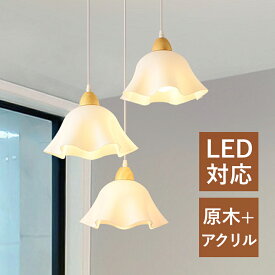 DIY ペンダントライト 照明器具 おしゃれ 北欧 LED 天井 吊り下げ 和風 和室 オシャレ リビング キッチン 安い 事務所 玄関 室内 led照明器具 おすすめ 1灯 電球付 ダクトレール 引掛シーリング用 工事不要 簡単設置 アジャスター付 電球付