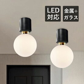 AAAZM シーリングライト 北欧 LED対応 ガラス ボール 丸型 シンプル おしゃれ 天井照明器具 トイレ 廊下 階段 ルームライト オシャレ モダン 和風 直付け 室内 ダイニング 和室 リビング 洋室 キッチン レストラン 天井ライト インテリア 引掛けシーリング ダクトレール