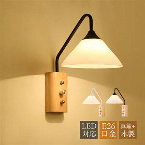 AAAZM uPbgCg  KX LEDΉ k IV Ǌ|Ɩ EH[v ؖڒ E26 Ǖt a ؐ XCb`Cg ʏ Ki  Q CeAƖ a m 