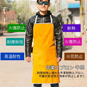 nڗpGv ƃGv v یJo[ h앞 Ɨp   ϔM ϋv ی ωΐ  