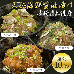 CN Ђ̑f 茧YY VRCNݖЂ uVRAWEVRԂEӖ΁v Ⓚ Ђ  AWtC̐n 茧Y` hgNIeB y ֗  E
