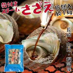 kt TUG X`[ 15 1kg Y  R  dqW ȒP MorR𓀗p ڏĂ  Aq[W ݂ ς ᎉ }Ⓚ ERE̊