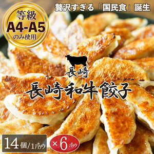 y14 × 6pbNz a A4-A5Ngp uaLqv agp70 â傤 Yʂ˂ 16g/ ⓀLq ɂɂEIEjsgp