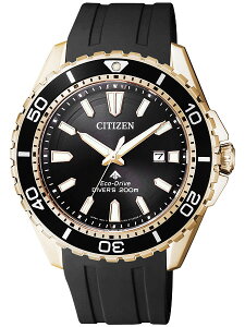 V`Y CITIZEN rv PROMASTER v}X^[ GREhCu _Co[200m BN0193-17E