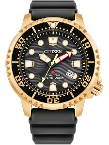 V`Y CITIZEN rv PROMASTER v}X^[ GREhCu _Co[200m BN0163-00H