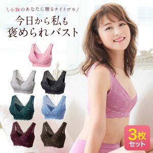累計100万個突破 公式 【3枚セット】LUNA ナチュラルアップナイトブラ 小胸 育乳 バストアップ バストケア ブラジャー ナイトブラ ルーナ ルーナブラ バストケア 夜用 補正 ノンワイヤー 夜ブラ LUNAブラ ルーナナイトブラ LUNAナイトブラ かわいい 鈴木奈々 育乳ブラ