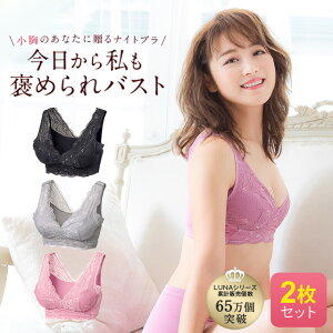 LUNAナチュラルアップナイトブラ 【2枚セット】 小胸 育乳 バストアップ バストケア ブラジャー ナイトブラ ルーナ ルーナブラ バストケア 夜用 補正 ノンワイヤー 夜ブラ LUNAブラ ルーナナイトブラ LUNAナイトブラ かわいい 鈴木奈々