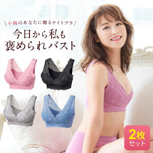 LUNAナチュラルアップナイトブラ 【2枚セット】 小胸 育乳 バストアップ バストケア ブラジャー ナイトブラ ルーナ ルーナブラ バストケア 夜用 補正 ノンワイヤー 夜ブラ LUNAブラ ルーナナイトブラ LUNAナイトブラ かわいい 鈴木奈々