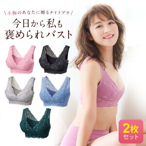 累計100万個突破 公式 【2枚セット】 LUNA ナチュラルアップナイトブラ 小胸 育乳 バストアップ バストケア ブラジャー ナイトブラ ルーナ ルーナブラ バストケア 夜用 補正 ノンワイヤー 夜ブラ LUNAブラ ルーナナイトブラ LUNAナイトブラ かわいい 鈴木奈々 育乳ブラ