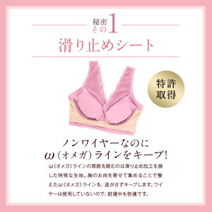 楽天市場 累計100万個突破 公式 Lunaナチュラルアップナイトブラ 小胸 育乳 バストアップ バストケア ブラジャー ナイトブラ ルーナ ルーナブラ バストケア 夜用 補正 ノンワイヤー 夜ブラ Lunaブラ ルーナナイトブラ Lunaナイトブラ かわいい 鈴木奈々 単品 育乳ブラ