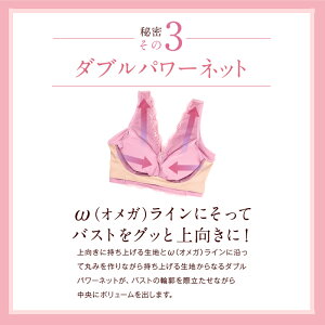 楽天市場 累計100万個突破 公式 Lunaナチュラルアップナイトブラ 小胸 育乳 バストアップ バストケア ブラジャー ナイトブラ ルーナ ルーナブラ バストケア 夜用 補正 ノンワイヤー 夜ブラ Lunaブラ ルーナナイトブラ Lunaナイトブラ かわいい 鈴木奈々 単品 育乳ブラ