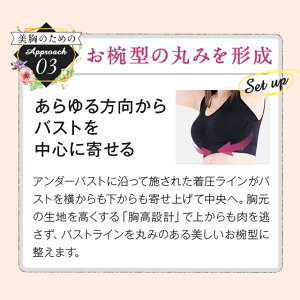 楽天市場 累計300万枚突破 公式 Viage ビューティ アップ ナイトブラ 育乳 バストアップ ブラジャー ナイトブラ Viage Viage ヴィアージュ ビアージュ バストケア 夜用 補正 補正下着 ノンワイヤー 単品 育乳ブラ Hrc公式ストア 楽天市場 累計300万枚突破 公式 Viage ビューティ アップ ナイトブラ 育乳 バストアップ ブラジャー ナイトブラ Viage Viage ヴィアージュ ビアージュ バストケア 夜用 補正 補正下着 ノンワイヤー 単品 育乳ブラ Hrc公式ストア