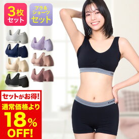 累計1,200万枚突破 公式 【3枚セット】 VIAGE ビューティ アップ ナイトブラ＆ショーツ バストアップ ブラジャー ヴィアージュ ビアージュ バストケア 夜用 補正下着 ノンワイヤー 育乳ブラ ヒップアップ 上下セット