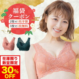 30%OFF 【福袋クーポン】 ブラ累計販売200万枚突破 公式 LUNAナチュラルアップナイトブラ 小胸 育乳 バストアップ バストケア ブラジャー ナイトブラ ルーナ ルーナブラ バストケア 夜用 補正 ノンワイヤー 夜ブラ LUNAブラ 鈴木奈々 単品 育乳ブラ 福袋 初売り 2026