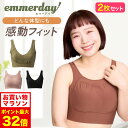 11/4 20時～【ポイント5倍以上確定】公式 【2枚セット】 emmerday! エマーデイ 感動シルエット ノンワイヤーブラ 大きいサイズ 小胸 育乳 バストアップ バストケア ブラジャー バストケア 夜用 夜ブラ 単品 育乳ブラ ナイトブラ 補正下着 ノンワイヤー インナー 下着