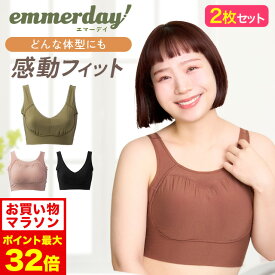 11/4 20時～【ポイント5倍以上確定】公式 【2枚セット】 emmerday! エマーデイ 感動シルエット ノンワイヤーブラ 大きいサイズ 小胸 育乳 バストアップ バストケア ブラジャー バストケア 夜用 夜ブラ 単品 育乳ブラ ナイトブラ 補正下着 ノンワイヤー インナー 下着