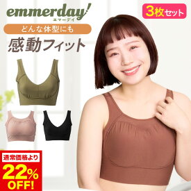 公式 【3枚セット】 emmerday! エマーデイ 感動シルエット ノンワイヤーブラ 大きいサイズ 小胸 育乳 バストアップ バストケア ブラジャー バストケア 夜用 夜ブラ 単品 育乳ブラ ナイトブラ 補正下着 ノンワイヤー インナー 下着