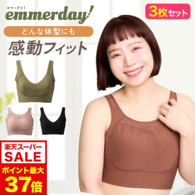 9/4 20時～【ポイント10倍以上確定】公式 【3枚セット】 emmerday! エマーデイ 感動シルエット ノンワイヤーブラ 大きいサイズ 小胸 育乳 バストアップ バストケア ブラジャー バストケア 夜用 夜ブラ 単品 育乳ブラ ナイトブラ 補正下着 ノンワイヤー インナー 下着
