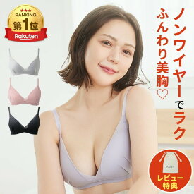 公式 TOLEETY トゥリーティ ブラジャー ブラ 軽やかストレスフリーブラ ノンワイヤーブラ ノンワイヤーブラジャー 下着 ワイヤレスブラ ホック 大きい 大きいサイズ 脇高 かわいい 日中 補正 夏 黒 3/4カップ メッシュ 村重杏奈