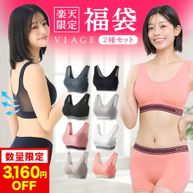 【福袋 3,160円OFF】【VIAGEシリーズ2種セット】楽天限定 数量限定 累計1,000万枚突破 公式【ナイトブラ2枚セット】カラーおまかせ VIAGE ビューティ アップ ナイトブラ エアー 育乳 バストアップ ブラジャー viage Viage ヴィアージュ ビアージュ Air 福袋 初売り