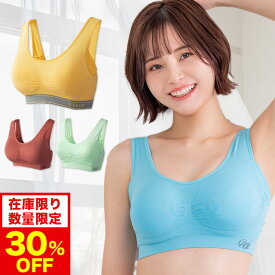 30%OFF【おひとり様3点まで】【数量限定】累計900万枚突破 公式 VIAGE ビューティ アップ ナイトブラ バストアップ ブラジャー ヴィアージュ ビアージュ バストケア 夜用 補正 補正下着 ノンワイヤー 単品 夏 大きいサイズ