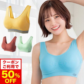 クーポンご利用で50%OFF【おひとり様3点まで】累計900万枚突破 公式 VIAGE ビューティ アップ ナイトブラ バストアップ ブラジャー ヴィアージュ ビアージュ バストケア 夜用 補正 補正下着 ノンワイヤー 単品 夏 大きいサイズ