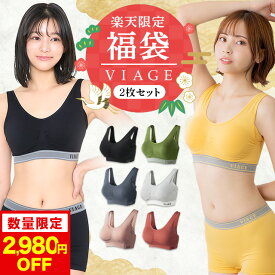 【福袋 2,980円OFF】楽天限定 数量限定 累計1,000万枚突破 公式 【2枚セット】カラーおまかせ VIAGE ビューティ アップ ナイトブラ バストアップ ブラジャー ヴィアージュ ビアージュ バストケア 夜用 補正 補正下着 ノンワイヤー 昼用兼用 福袋 初売り まとめ買い 2026 2025