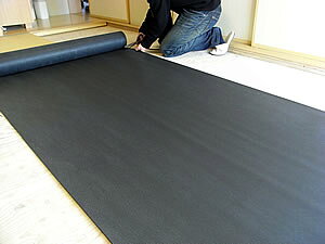 YV[gMAX 10m YYpE_[250g/m2ܗL LL΍YV[g VPf Vz  tH[ Ö DIY gC ze a@ { NjbN ze Ə X|